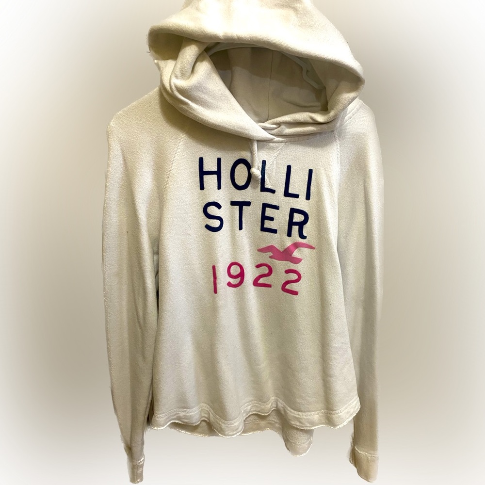 Hollister hoodie
